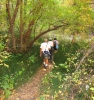 PICTURES/Sedona West Fork Trail  - Again/t_Don, Arleen & Sharon2.jpg